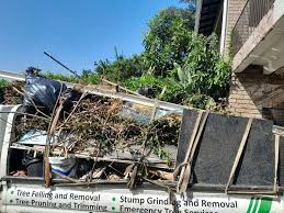 Best Hoarding Cleanup  in Fort Lupton, CO