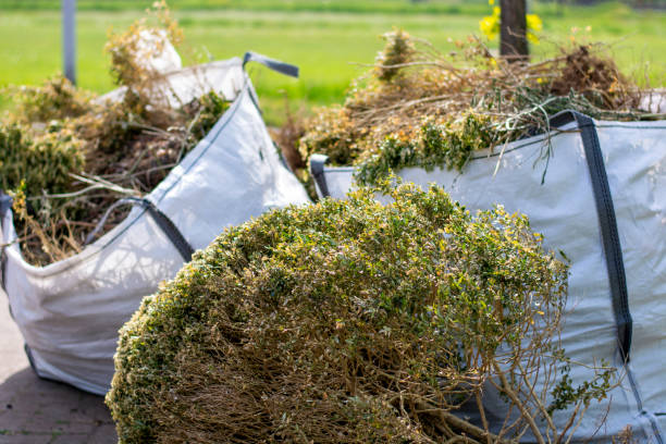 Shed Removal in Fort Lupton, CO